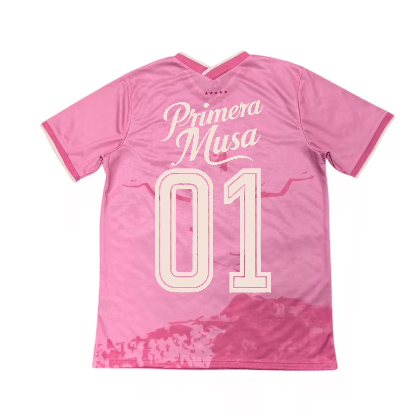 Camiseta Brasil x Omar Courtz